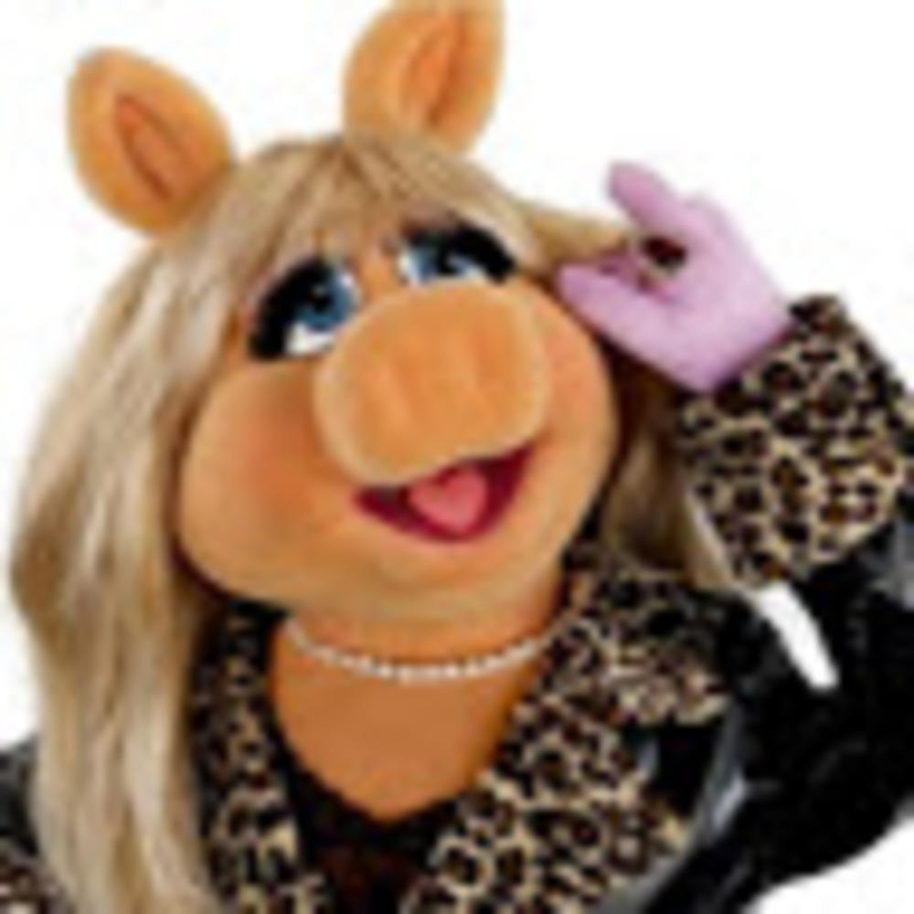 Meet your Posher, Miss